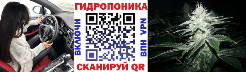 где продают наркотики  Печоры  Бошки Шишки гибрид 